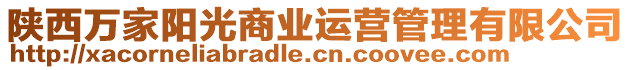 陜西萬家陽光商業運營管理有限公司