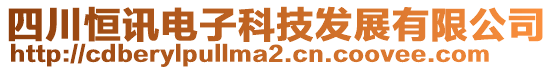 四川恒訊電子科技發(fā)展有限公司