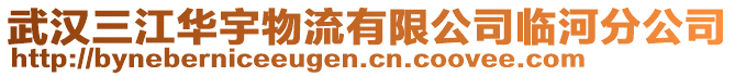 武漢三江華宇物流有限公司臨河分公司