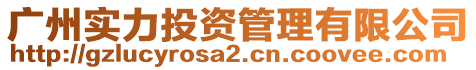 廣州實力投資管理有限公司