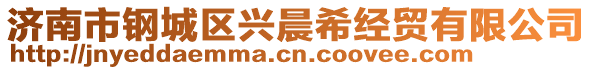濟南市鋼城區興晨希經貿有限公司