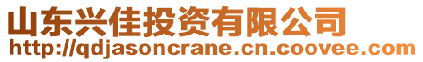 山東興佳投資有限公司