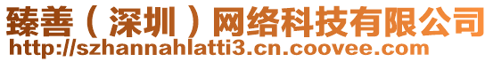 臻善(深圳)網絡科技有限公司
