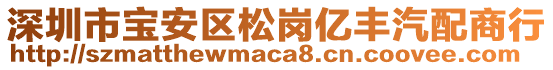 深圳市寶安區(qū)松崗億豐汽配商行