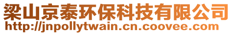 梁山京泰環(huán)保科技有限公司