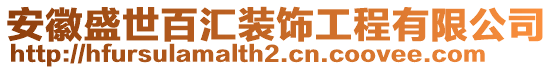 安徽盛世百匯裝飾工程有限公司