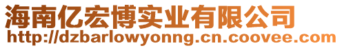 海南億宏博實業有限公司