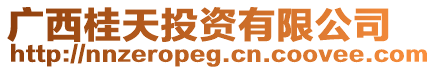 廣西桂天投資有限公司