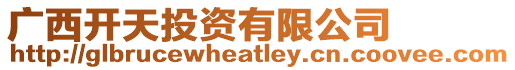 廣西開天投資有限公司