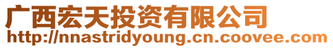 廣西宏天投資有限公司