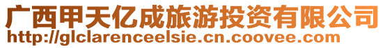 廣西甲天億成旅游投資有限公司