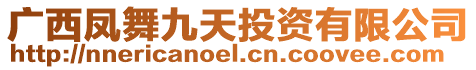 廣西鳳舞九天投資有限公司