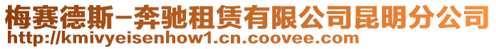 梅賽德斯-奔馳租賃有限公司昆明分公司