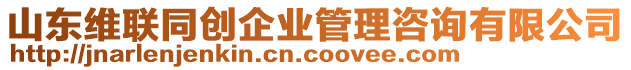 山東維聯同創企業管理咨詢有限公司