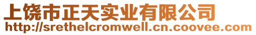 上饒市正天實業有限公司