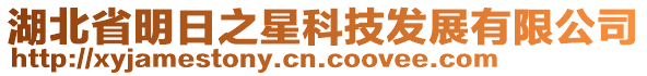 湖北省明日之星科技發展有限公司