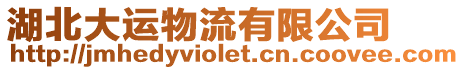 湖北大運物流有限公司