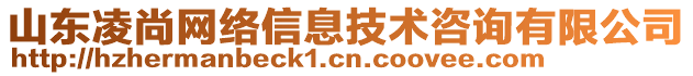 山東凌尚網(wǎng)絡信息技術(shù)咨詢有限公司