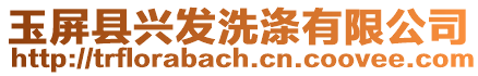 玉屏縣興發(fā)洗滌有限公司