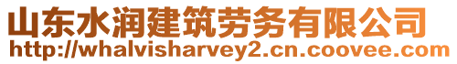 山東水潤建筑勞務有限公司