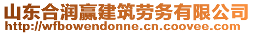 山東合潤贏建筑勞務(wù)有限公司
