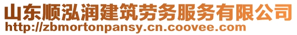山東順泓潤建筑勞務服務有限公司