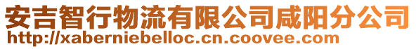 安吉智行物流有限公司咸陽分公司