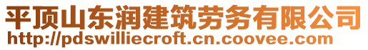 平頂山東潤建筑勞務有限公司