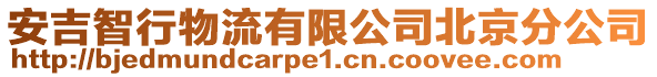 安吉智行物流有限公司北京分公司