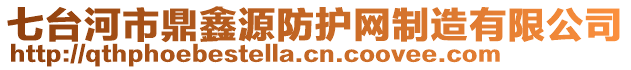 七台河市鼎鑫源防护网制造有限公司