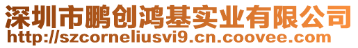 深圳市鵬創(chuàng)鴻基實(shí)業(yè)有限公司