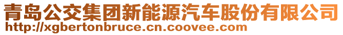 青島公交集團(tuán)新能源汽車股份有限公司