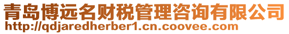 青島博遠(yuǎn)名財(cái)稅管理咨詢有限公司