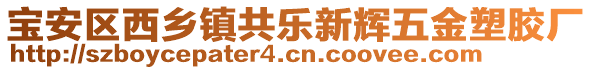 寶安區(qū)西鄉(xiāng)鎮(zhèn)共樂新輝五金塑膠廠