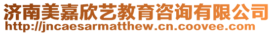 濟南美嘉欣藝教育咨詢有限公司