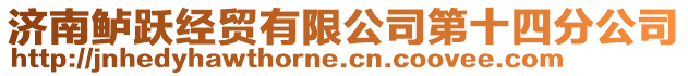 濟南鱸躍經貿有限公司第十四分公司