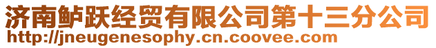 濟南鱸躍經(jīng)貿(mào)有限公司第十三分公司