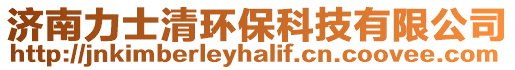 濟南力士清環保科技有限公司