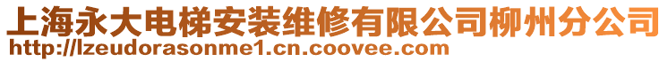 上海永大電梯安裝維修有限公司柳州分公司