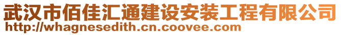 武漢市佰佳匯通建設安裝工程有限公司