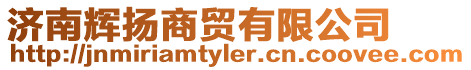 濟南輝揚商貿有限公司