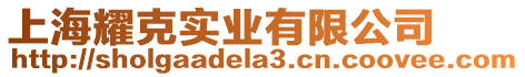 上海耀克實(shí)業(yè)有限公司