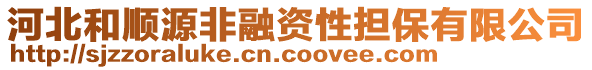 河北和順源非融資性擔(dān)保有限公司