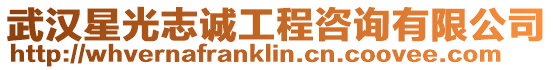 武漢星光志誠工程咨詢有限公司