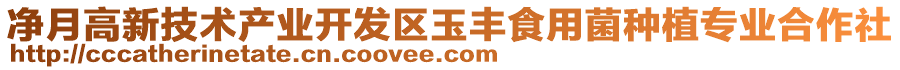 凈月高新技術產業開發區玉豐食用菌種植專業合作社