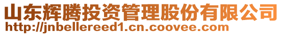 山東輝騰投資管理股份有限公司