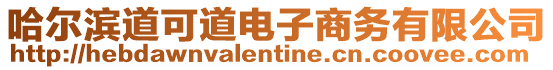 哈爾濱道可道電子商務(wù)有限公司