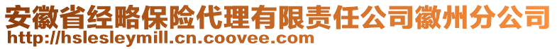 安徽省經(jīng)略保險(xiǎn)代理有限責(zé)任公司徽州分公司