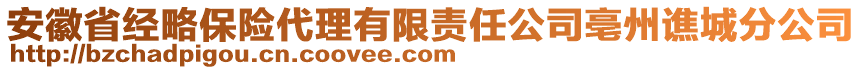 安徽省經(jīng)略保險代理有限責(zé)任公司亳州譙城分公司