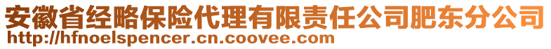 安徽省經(jīng)略保險代理有限責(zé)任公司肥東分公司